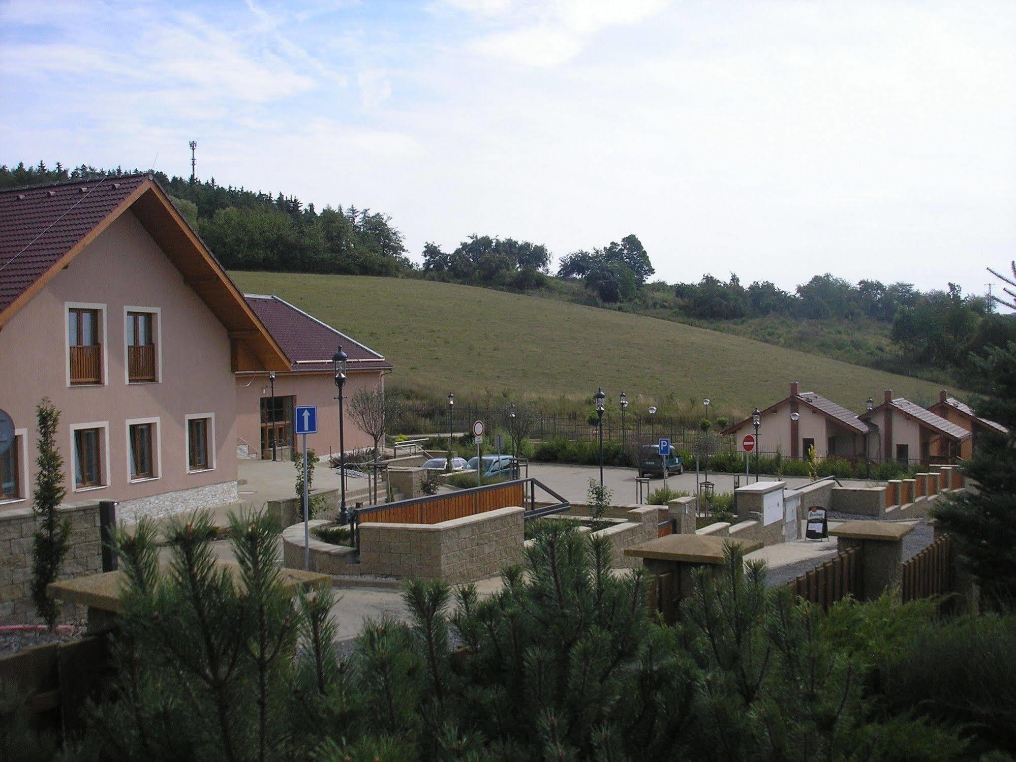 Penzion Harmonie Hotel Zlutice Exterior photo